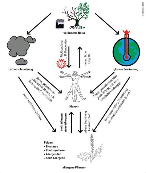 Der Einfluss Von Luftverschmutzung Auf Pollenallergiker Pneumologie