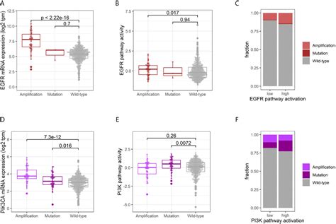 Frontiers EGFR And PI3K Pathway Activities Might Guide Drug