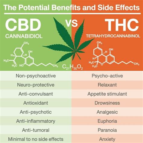 CBD Effects | Benefits, Downsides, Dosage and Warning - CBDoilEco