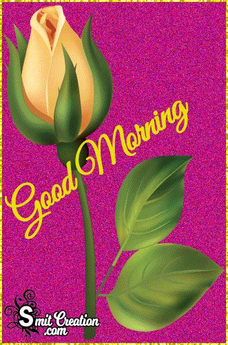 Good Morning Images Rose Hd Gif - Infoupdate.org