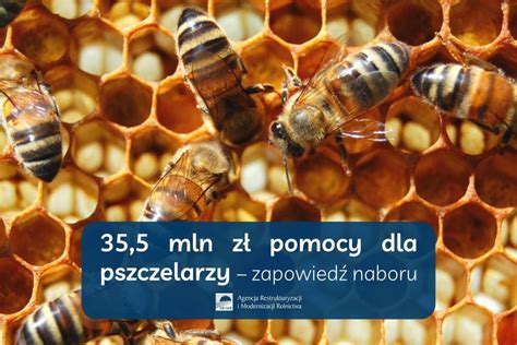 Mln Z Pomocy Dla Pszczelarzy Zapowied Naboru Aktualno Ci