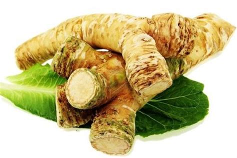Корень хрена свежий - купить оптом и розницу с доставкой на дом в ...
