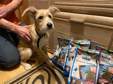 САМОЕ БОЛЬШОЕ СЧАСТЬЕ - ВИДЕТЬ ИХ СЧАСТЛИВЫМИ Недавно мы делали сбор на ...