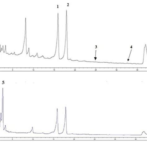 A A Typical Hplcdad Chromatogram At λ 254 Nm Of Fir Honey No 3