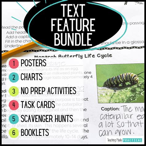 Engaging, Low Prep Activities for Teaching Text Features - Teaching ...