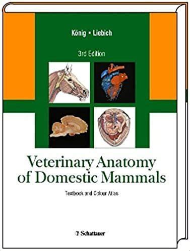 veterinary anatomy  domestic mammals  edition