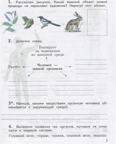 ГДЗ Окружающий мир 4 класс Виноградова, Калинова - Рабочая тетрадь