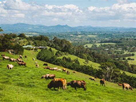 11 Byron Bay Hinterland Towns To Visit Australian Traveller