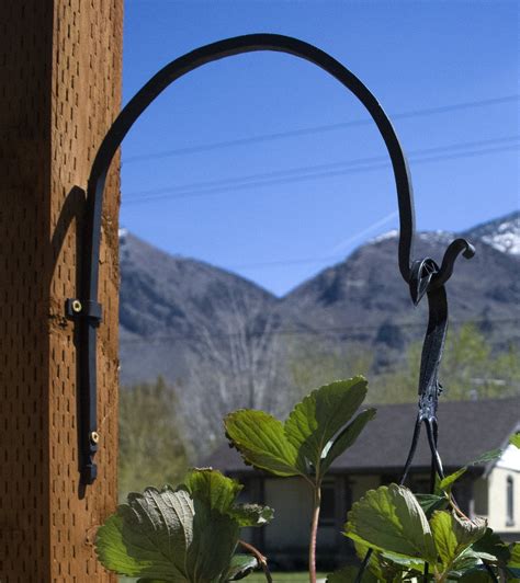 Unique Info About Steel Plant Hanger Coconut Shell Ifphoto