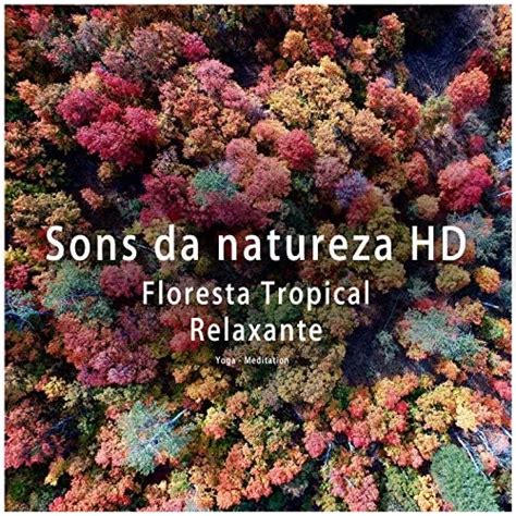 Amazon Music Sons Da Natureza Hd Natureza Sons Floresta Tropical