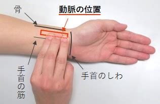 手首の脈の取り方 – 脈の測り方 手首 イラスト – NSMM