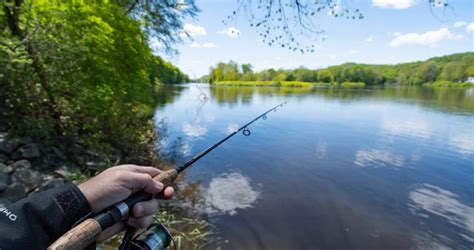 Весняний нерест: де на Волині заборонено ловити рибу