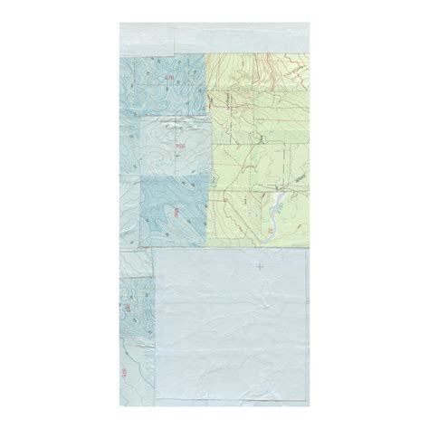 Beyond the Surface: Exploring Shannon Lofland's Alternative Persona 8