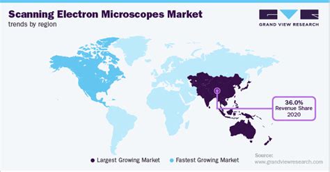 Scanning Electron Microscopes Market Size Report 2030