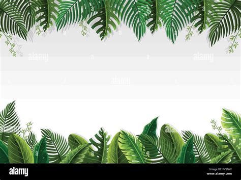 Beautiful Palm Leaf Border Illustration Stock Vector Image And Art Alamy