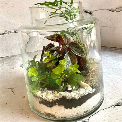 Флорариум тропический в интерьерной бутыли в интернет-магазине Ярмарка ...