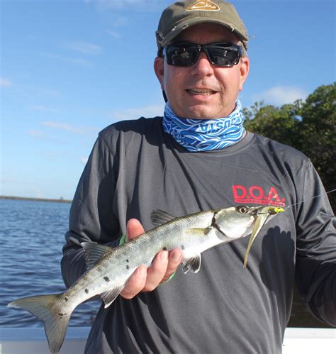 Lowcountry outdoors: 2017