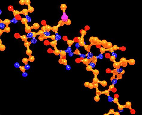 Somatotropin Growth Hormone Molecule Photograph by Alfred Pasieka/science Photo Library