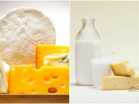 O Que São Laticinios - Laticínios ricos em gordura são bons para o metabolismo - Dourados News
