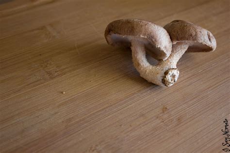 Cream of Mushroom Soup | I Say Nomato