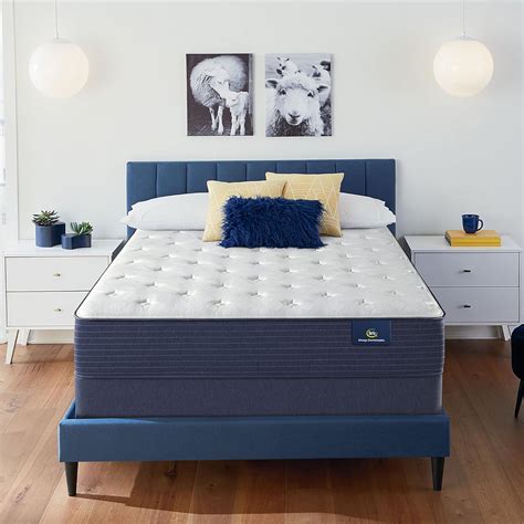 Amazon.com: Serta - 11" Clarks Hill Plush Twin XL Mattress, Comfortable