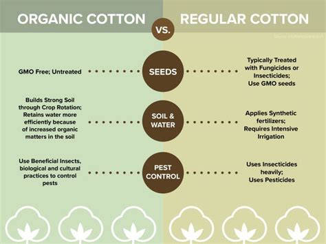 organic cotton  normal cotton infographic
