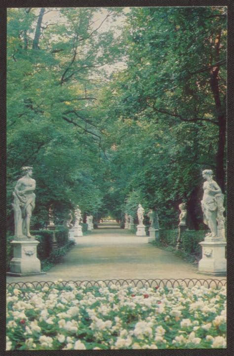 Ленинград. Аллея Летнего сада. [Лето] | Президентская библиотека имени ...