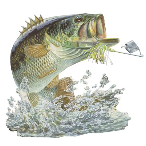 Largemouth Bass Fishing Clip Art