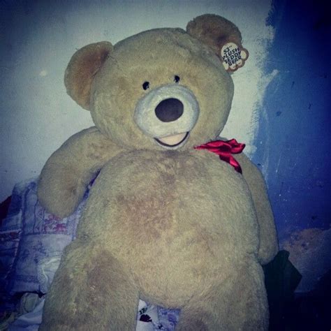 Oso Gay Instagram Posts Instagram Teddy