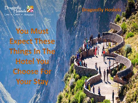 dragonflyhostels - You Must Expect These Things In The Hotel You Choose ...