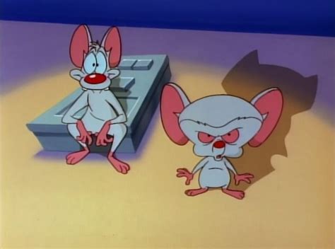 Pinky and the Brain Screenshots on Tumblr