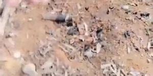 CHINESE OUTDOOR SEX Tnaflix