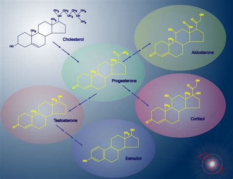 Basics Of Hormone Classification Interactive Biology With Leslie Samuel