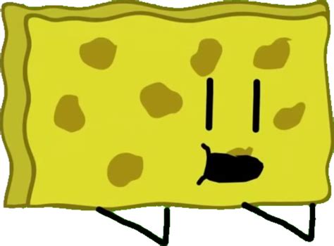 Spongy | Object All-Stars Wiki | Fandom