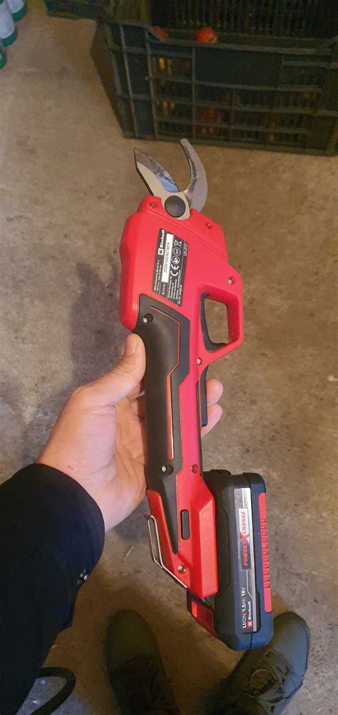 Лозарска ножица енхел гр. Силистра Север • OLX.bg