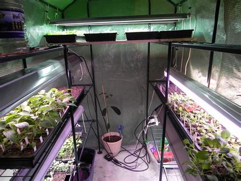 Basement Grow Room How To Build The Best Cannabis Grow Room Growers