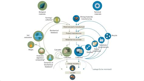 The Circular Economy Concept Explained