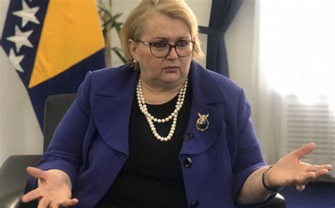 Ministarstvo Vanjskih Poslova Bih Apsolutna Je Neistina I Zlonamjerna