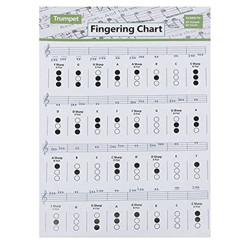 Full Trumpet Fingering Chart: Master Your Trumpet Playing