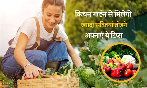 Kitchen Garden Ideas In Hindi