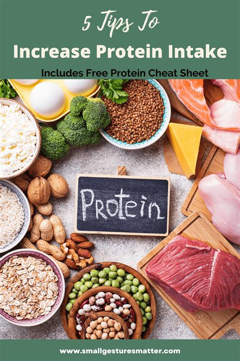 5 Easy Tips To Increase Protein Intake - Small Gestures Matter
