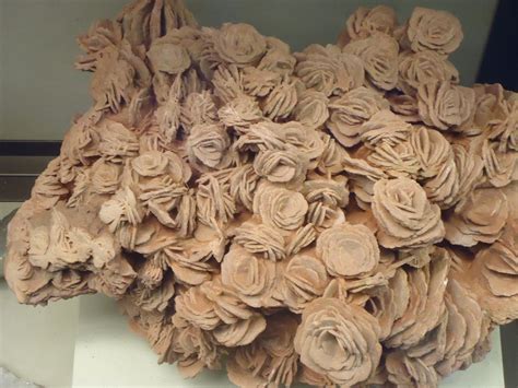 Desert Rose Formation Image Free Stock Photo Public Domain Photo