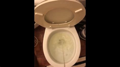Pissin Pornhub Gay