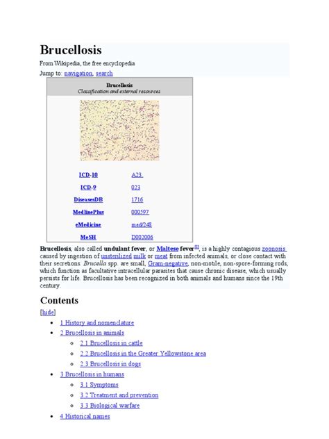 Brucellosis | Medical | Medical Specialties