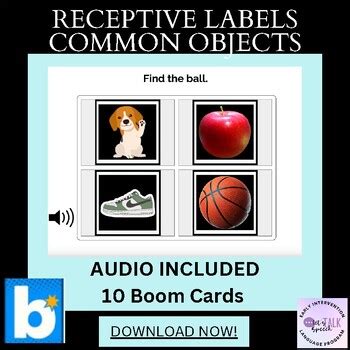 Receptive Labels Boom Cards Common Objects Speech Therapy With Sound