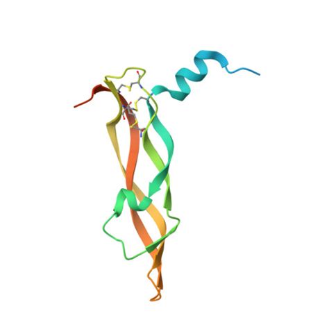 Rcsb Pdb T Crystal Structure Of Vegf A In Complex With Vegfr