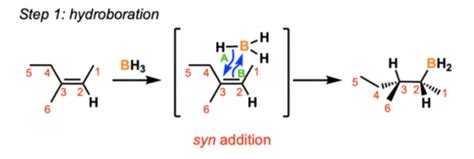 mechanisms  orgo  exam  flashcards quizlet