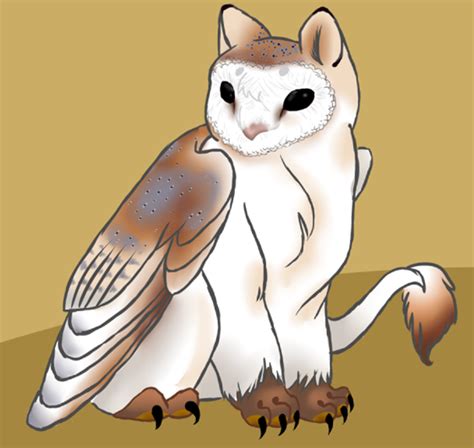 Barn Owl Griffon By On