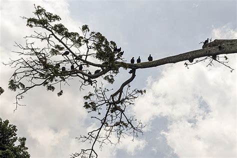 Sunepinparques On Twitter Rt Lunaperdomo Trabajadores De Inparques