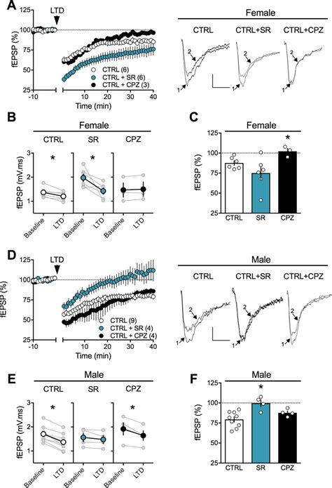 Figures And Data In Sex Dependent Effects Of In Utero Cannabinoid Exposure On Cortical Function